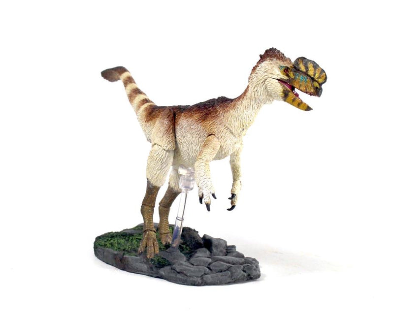 Beasts of the Mesozoic: Tyrannosaur Series Proceratosaurus bradleyi 1/18 Scale
