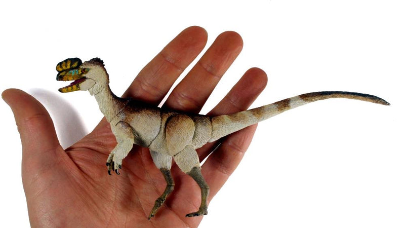 Beasts of the Mesozoic: Tyrannosaur Series Proceratosaurus bradleyi 1/18 Scale